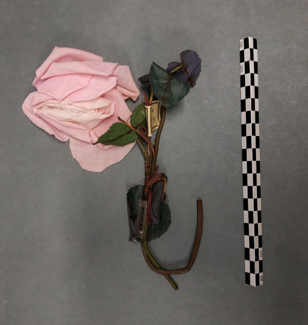 Image représentant Bouquet