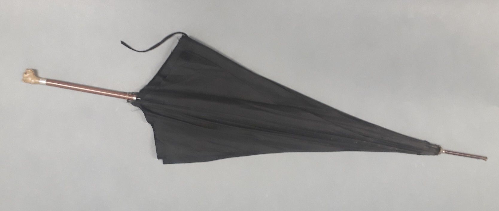 Image représentant Parapluie