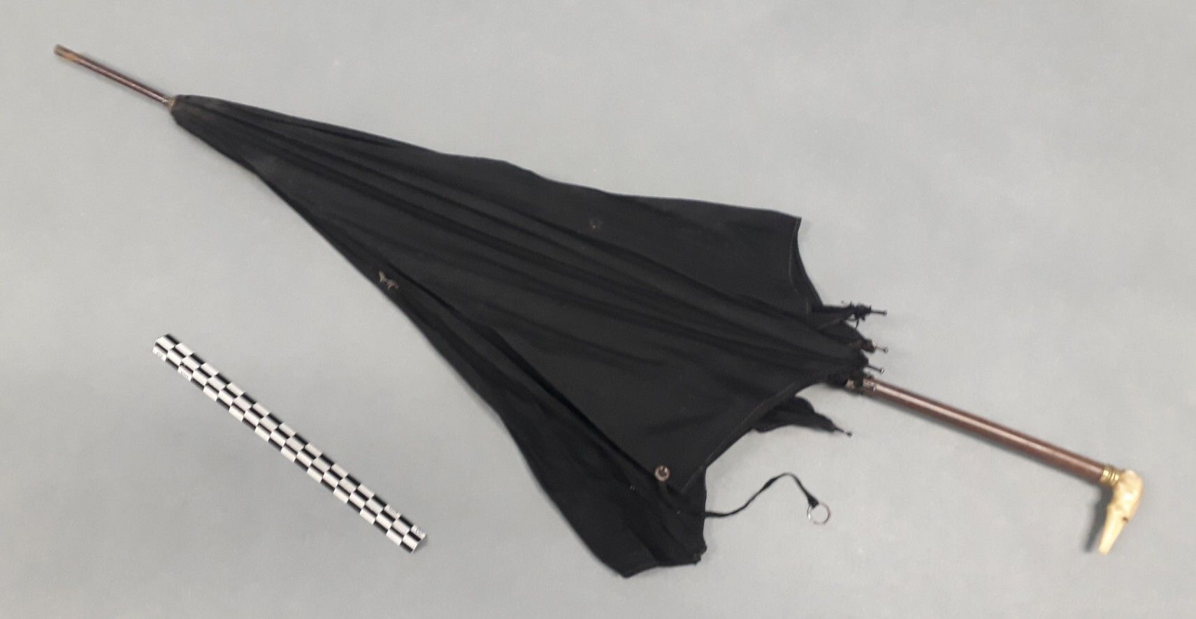 Image représentant Parapluie