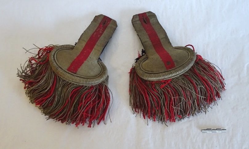 Image représentant Epaulette