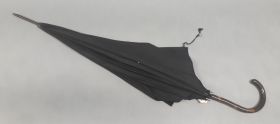 Image representing Parapluie.