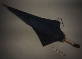 Image représentant Parapluie