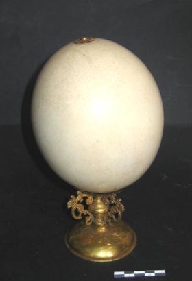 Image représentant Oeuf